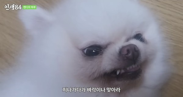 17105472887972.jpeg
