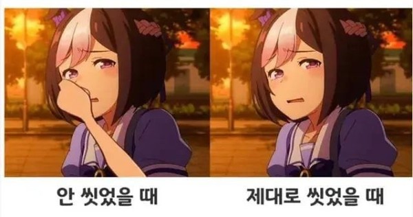 17105652901041.jpeg