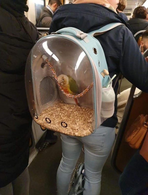 17105814789727.jpeg