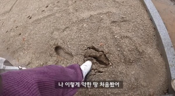 17106823047548.jpg