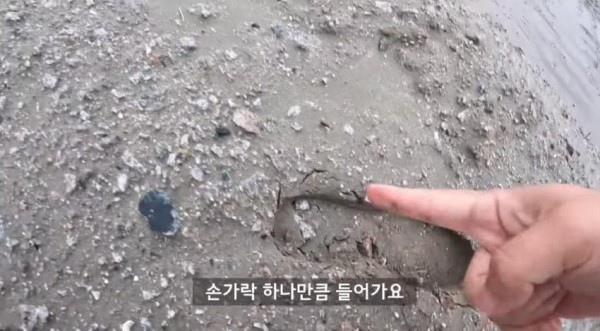 17106823054221.jpg