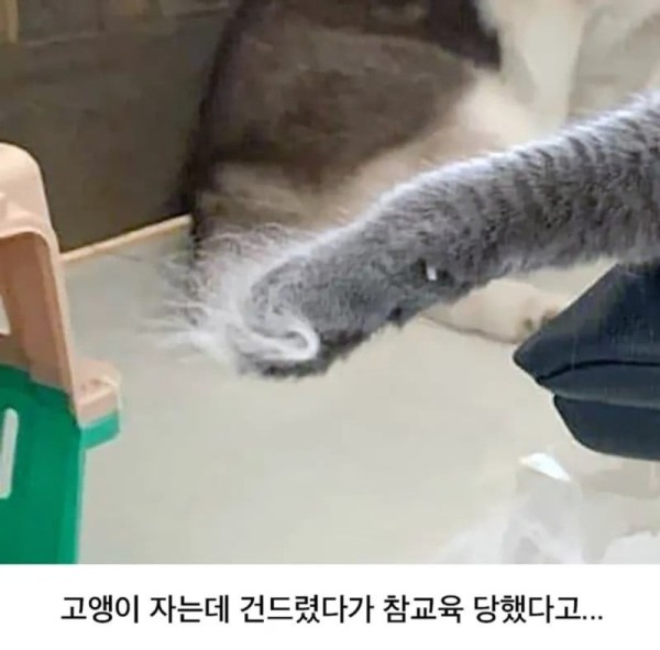 17107362833627.jpeg