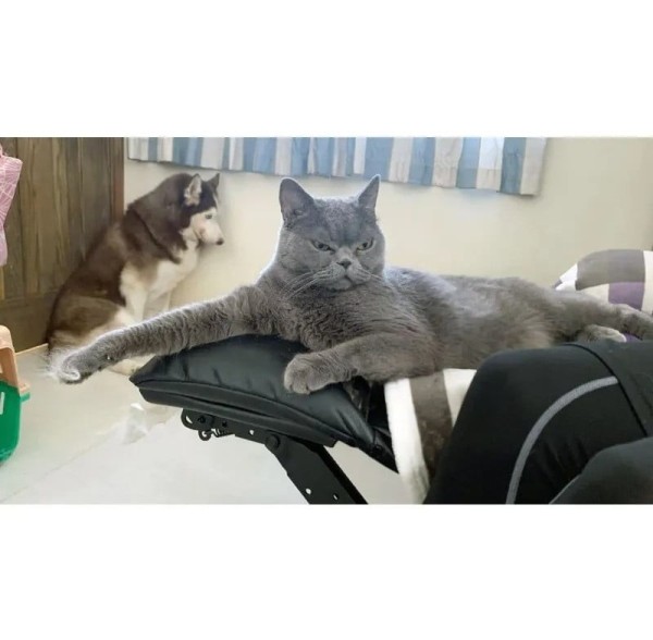 17107362837051.jpeg