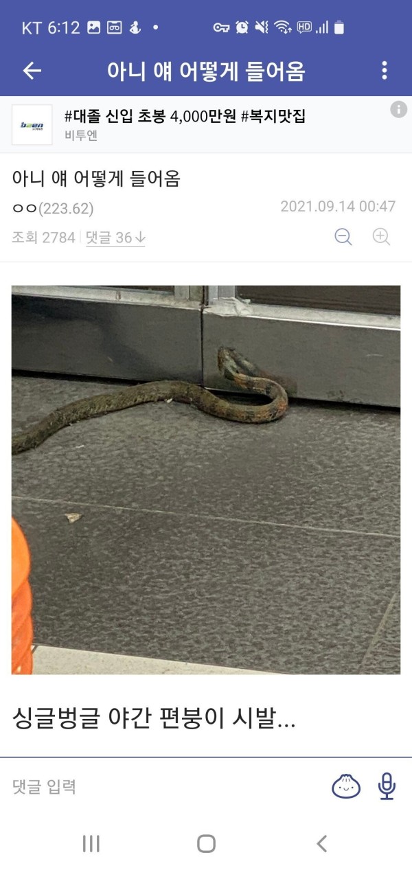 1710781302304.jpeg