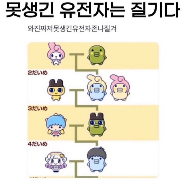 17108118707209.jpeg