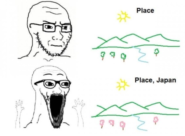 17108154639671.jpeg