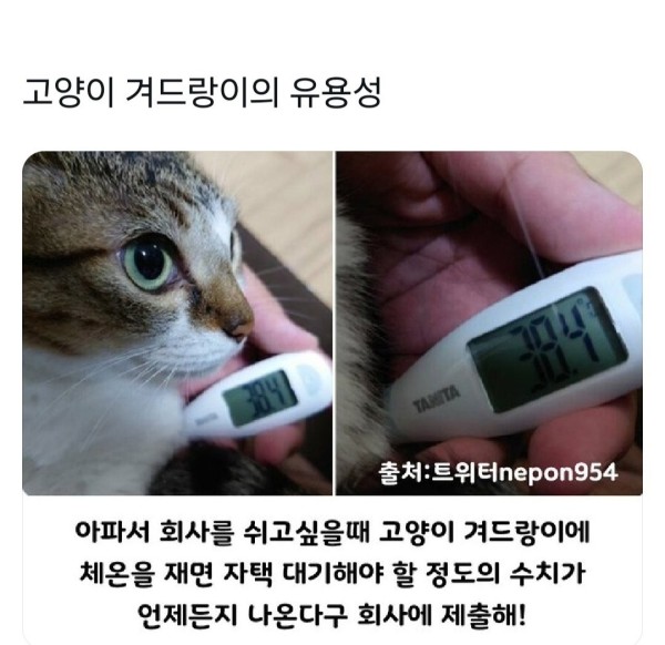 17108226923299.jpg