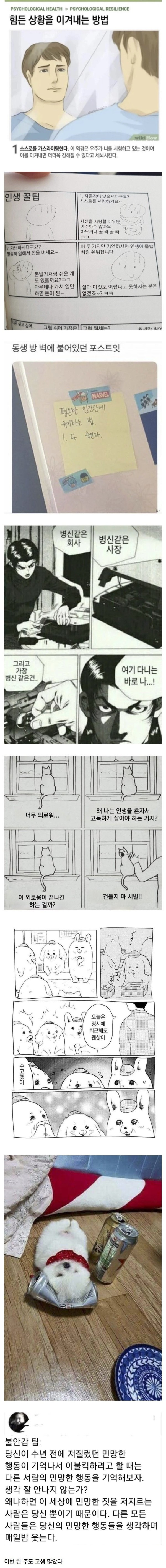 1710826279706.jpeg