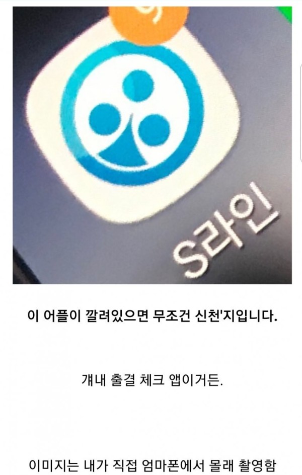 1710838903423.jpg