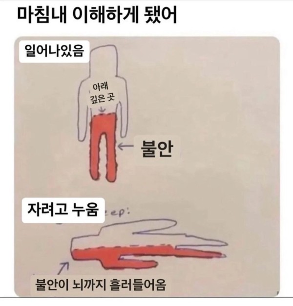 17108569042989.jpeg