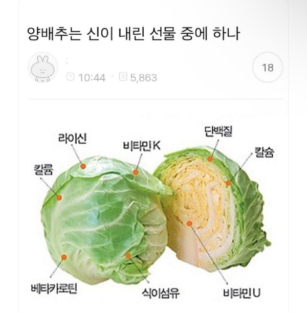 1710862297751.jpeg