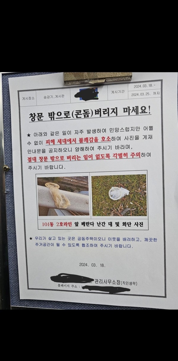 17109018937909.jpg