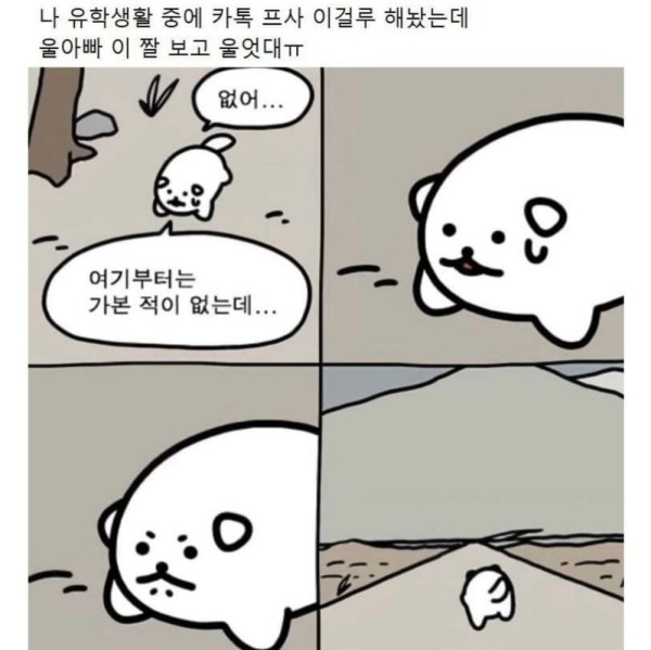 17109306968723.jpg