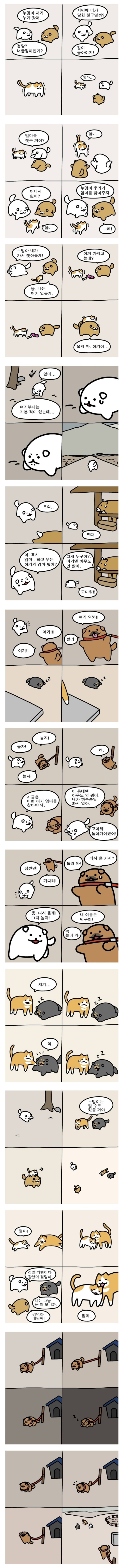 17109324965547.jpg