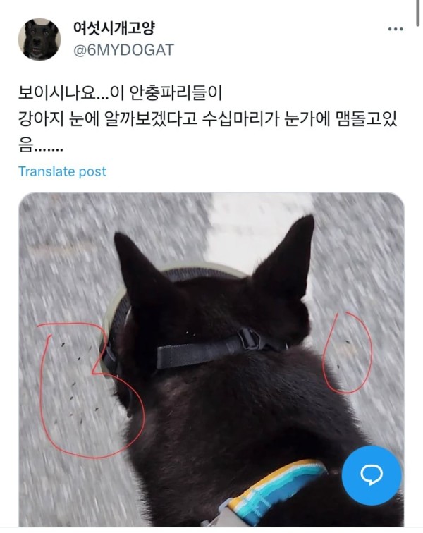 1711031507657.jpg