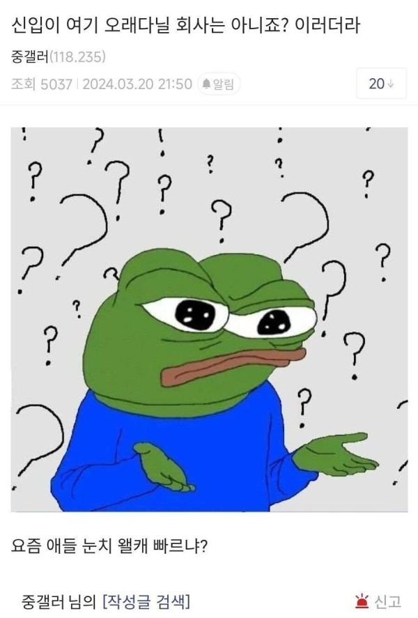17110710978646.jpg