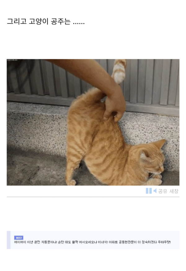 17110746686623.png