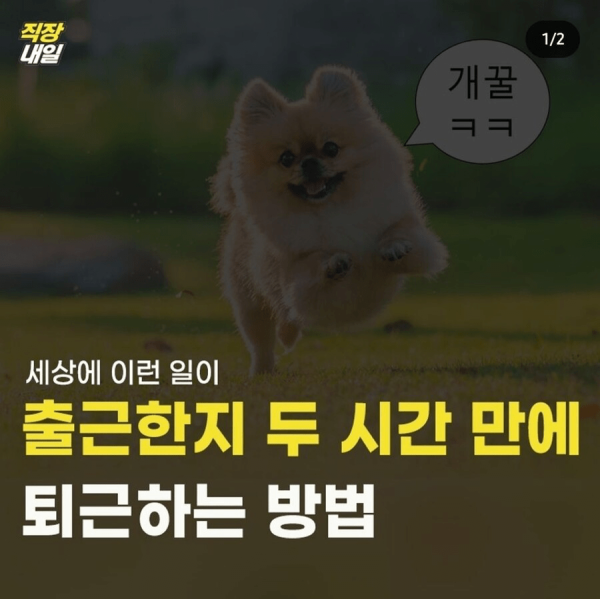 17110800887735.png