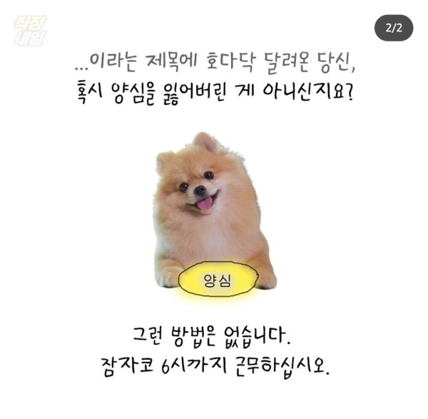 17110800901752.jpeg