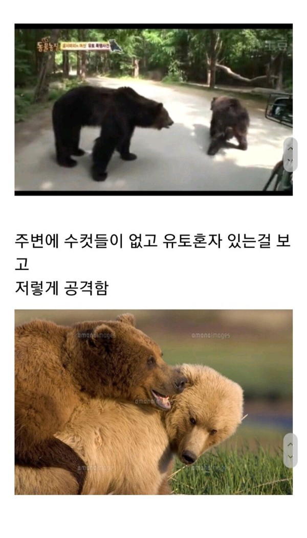 1711085500188.jpg
