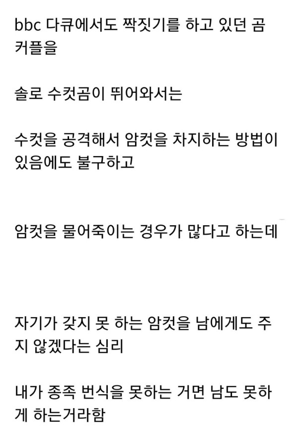 17110855006089.jpg