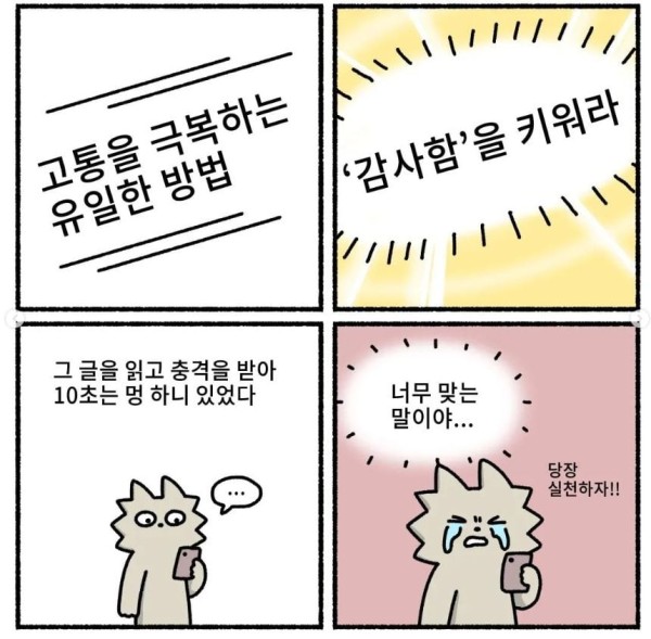 17110890930244.jpg