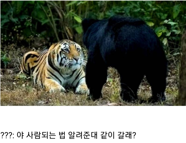 1711103478972.png