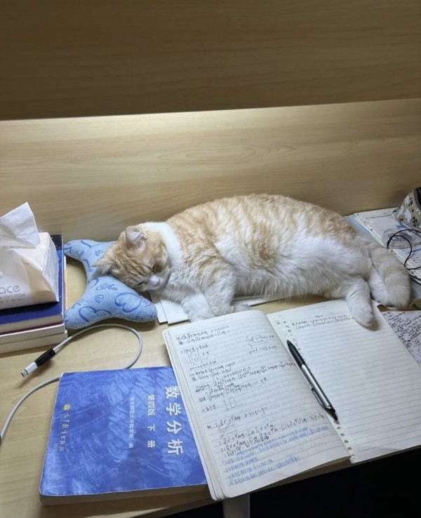 17111124884094.jpeg