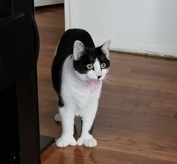 17111124889872.jpeg