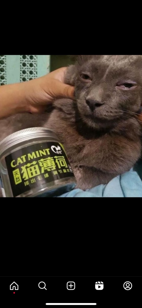 17111124918148.jpeg