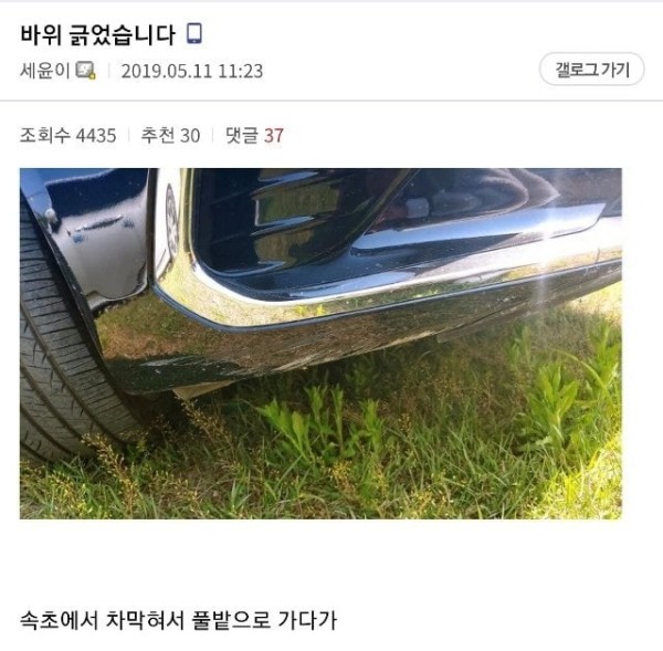 17111178853804.jpg
