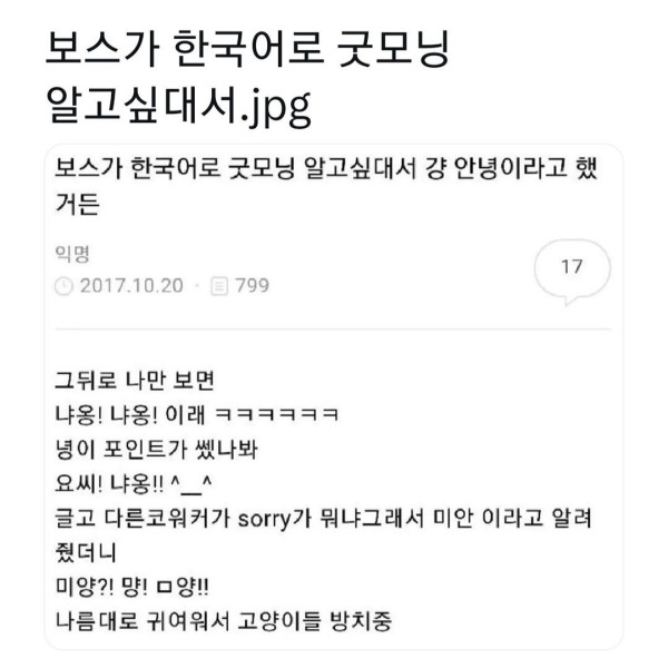 17112114771603.jpg