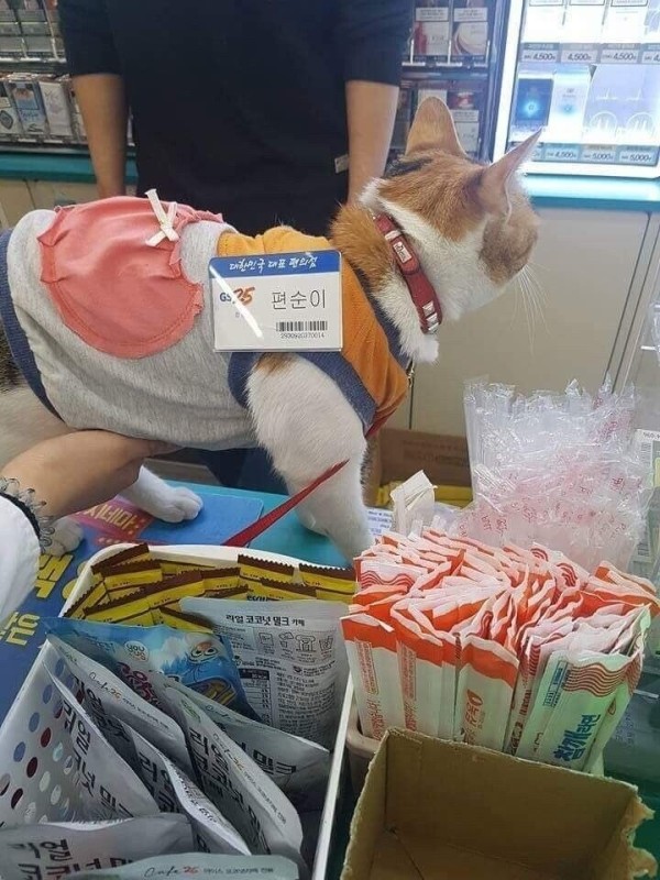 17112114846829.jpeg