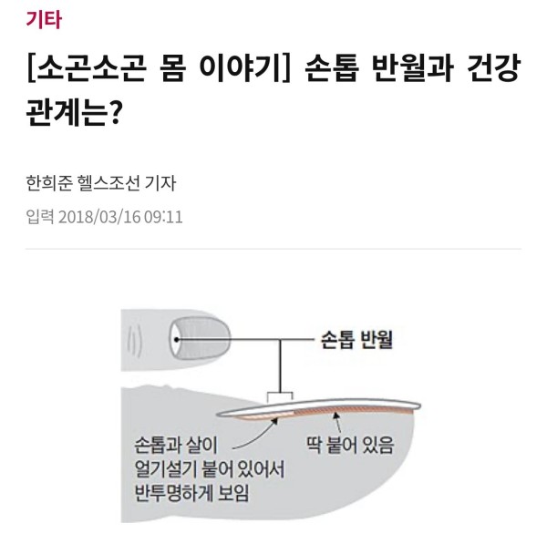 17112133034588.jpeg