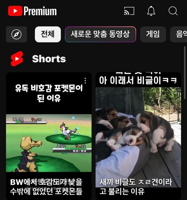 17113644945932.jpeg