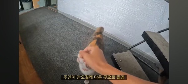 17114112937737.jpeg