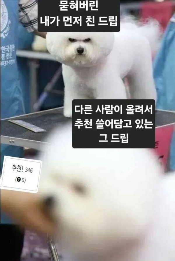 17114184733943.jpeg