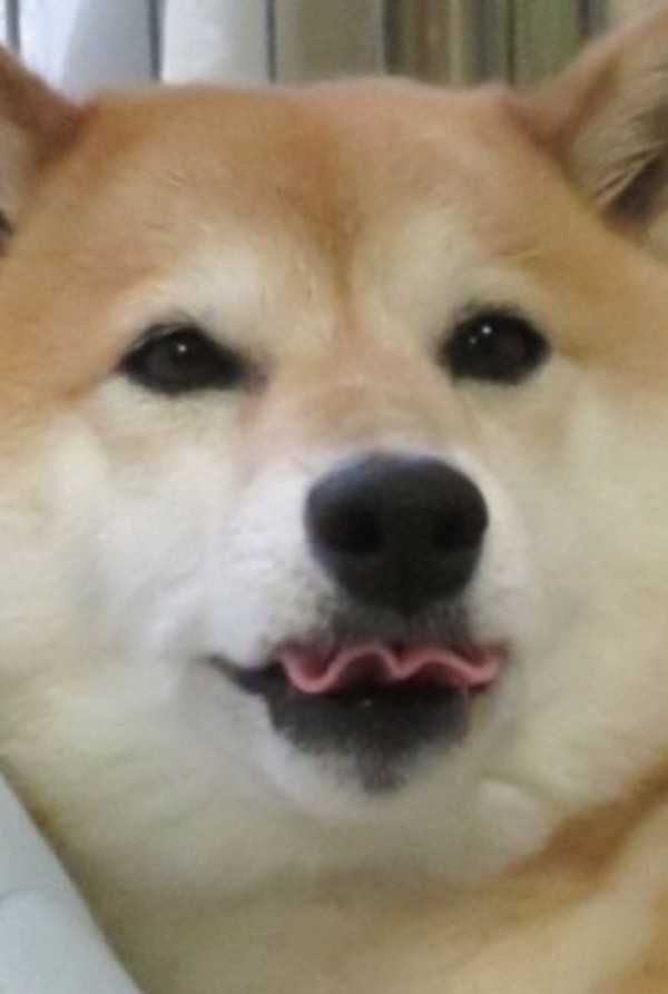 17114184737437.jpeg