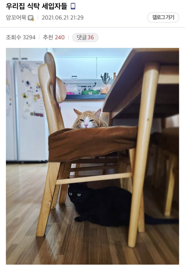 17114490876169.png