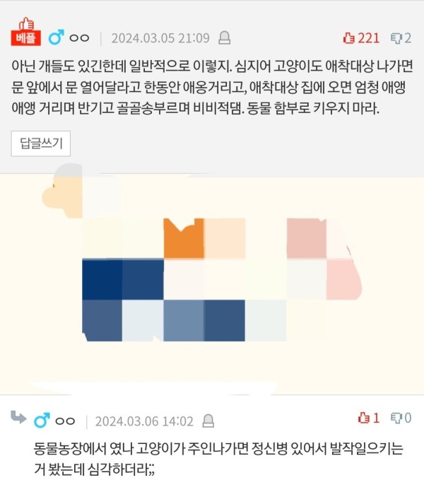 17115463024666.jpeg