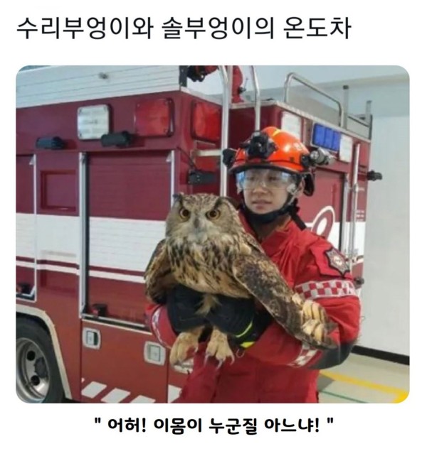 17115841035933.jpeg