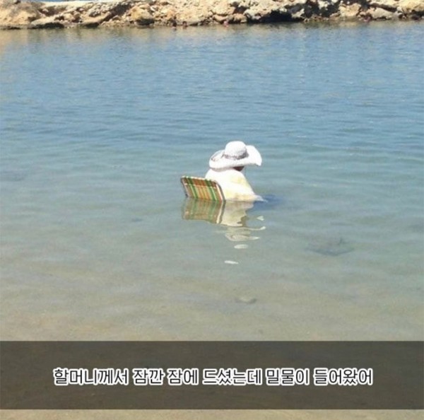 17115876853587.jpeg