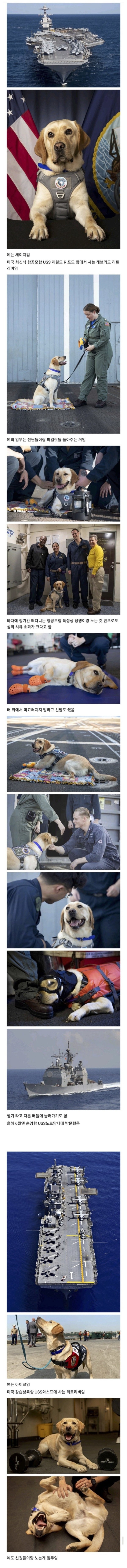 17115912776015.jpeg