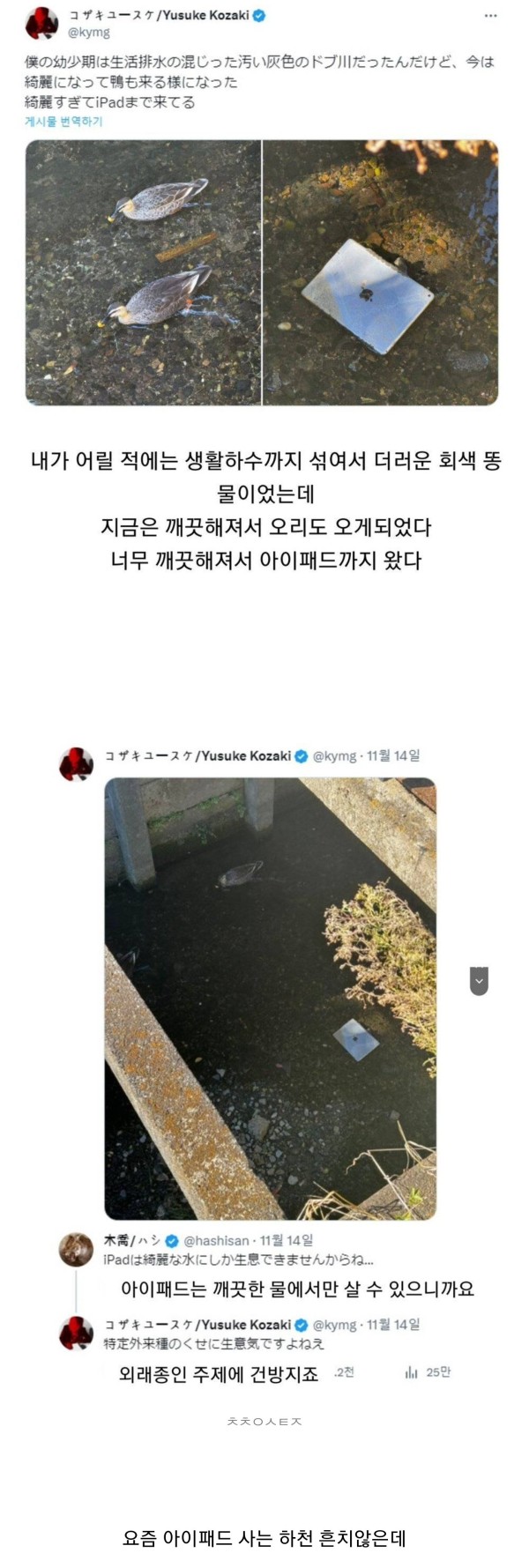 1711683071801.jpg