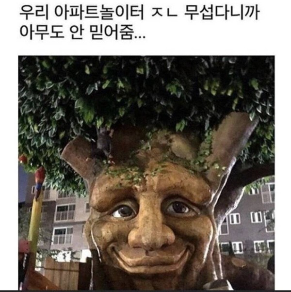 17117568768086.jpg