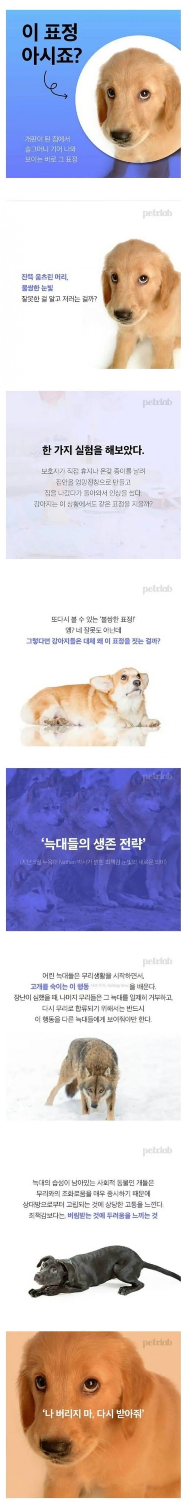 17118054503669.jpg