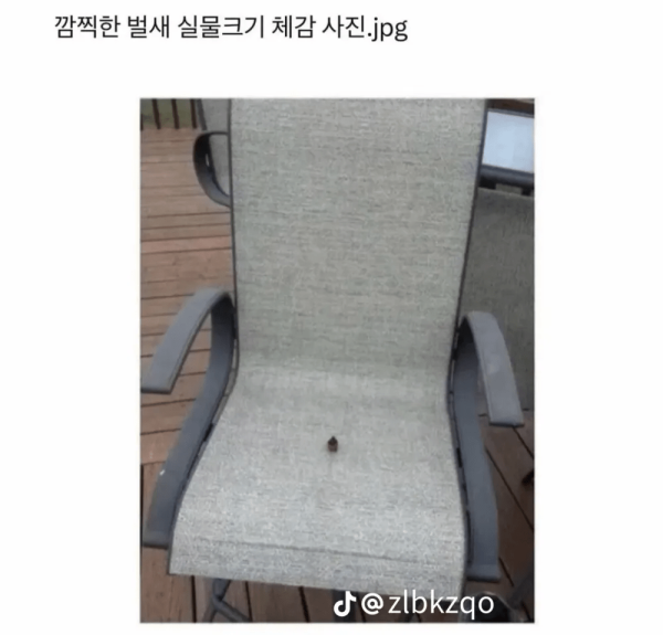 17118486677343.png