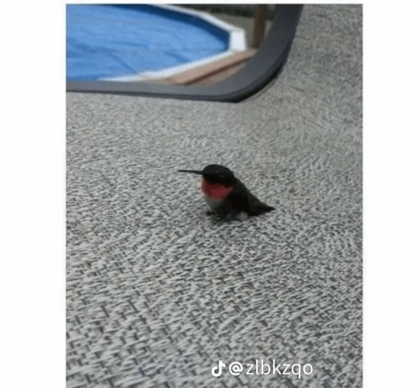 1711848668856.png