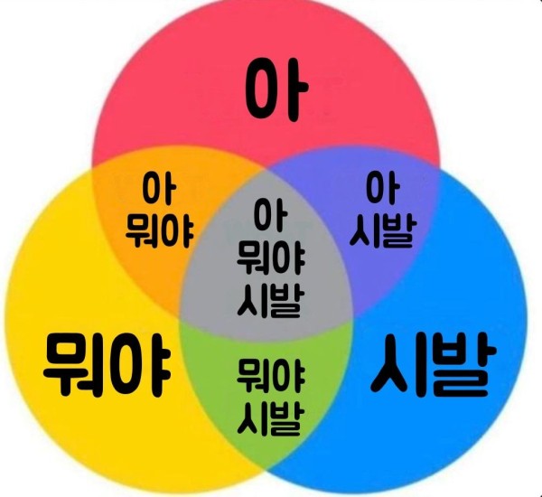 17118684516446.jpg