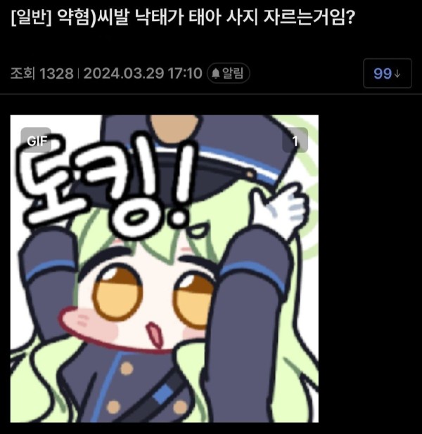 171194408973.jpg